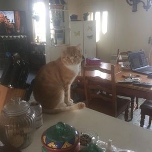 Meet your Posher, Christine